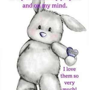 Meet your Posher, Janice